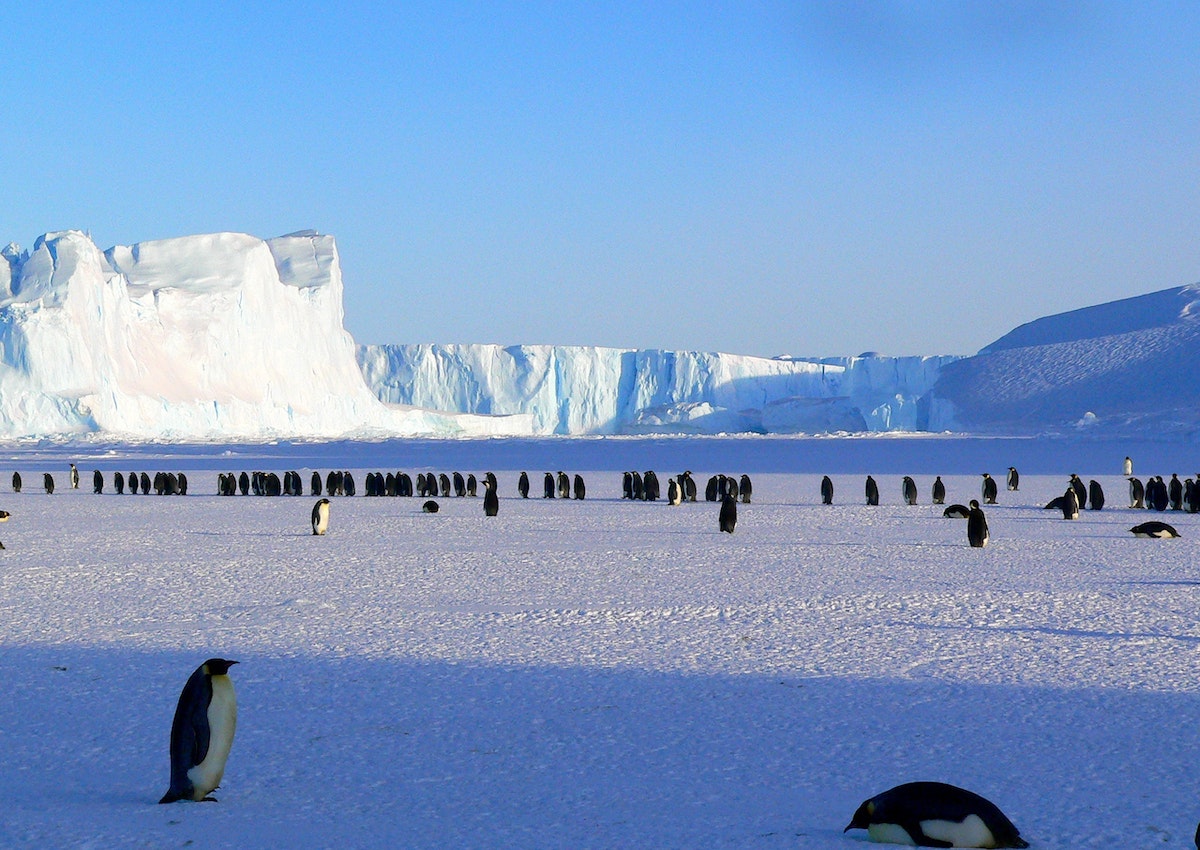 12 reasons for you to travel to Antarctica and live unique moments